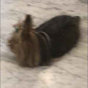 Meet your Posher, Marissa